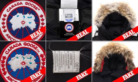 imitation canada goose veste